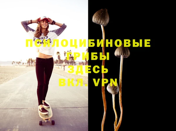 apvp Верея