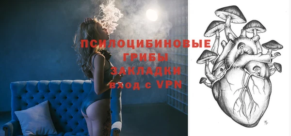 apvp Вязники