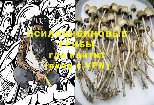 apvp Вязники